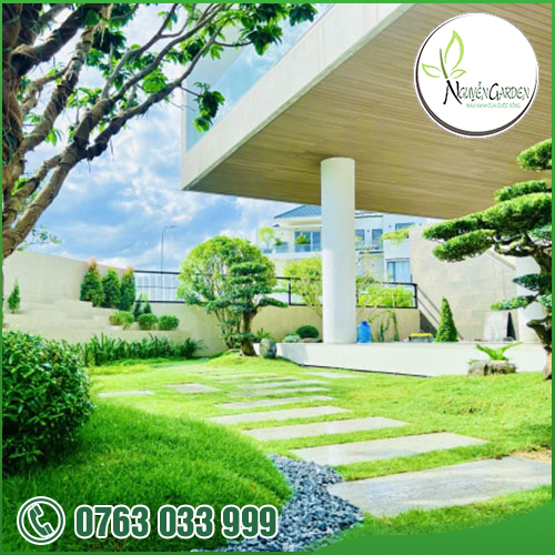 CÔNG TY TNHH TM DV NGUYỄN GARDEN
